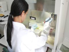 Importancia da biossegurança em laboratorios Importancia da biossegurança em laboratorios