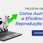 Como Aumentar a Eficiência na Reprodução Bovina