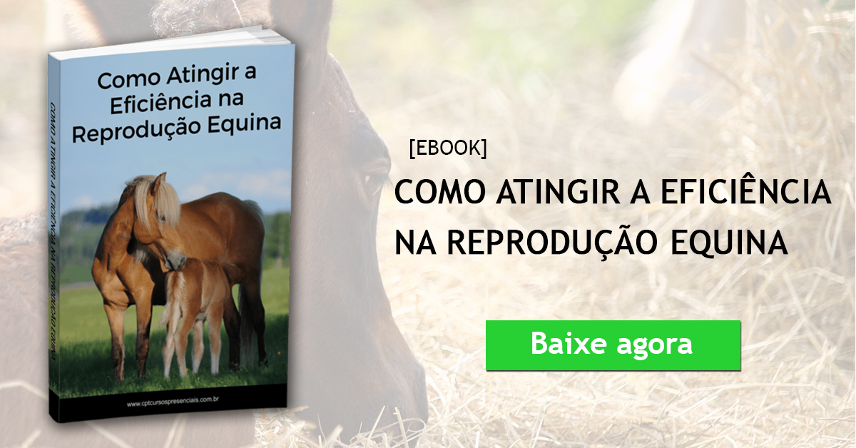 Ebook Como Atingir a EficiÃªncia na ReproduÃ§Ã£o Equina