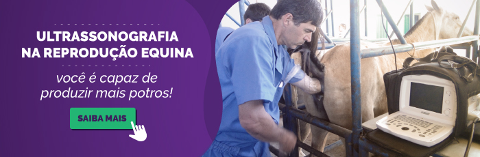 Curso de ultrassonografia em equinos
