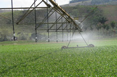 Projetos de irrigação