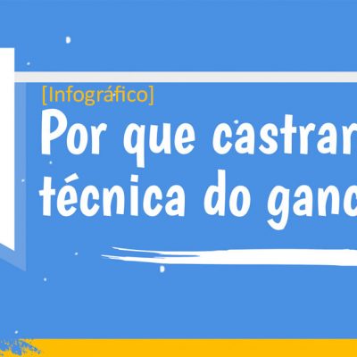 Infográfico - Castração com técnica do Gancho