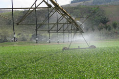 Projetos de irrigação bem aplicados acompanham dados de qualidade. Não perca tempo e confira os principais pontos para o sucesso.