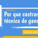 Castração com Técnica do Gancho em Pequenos Animais