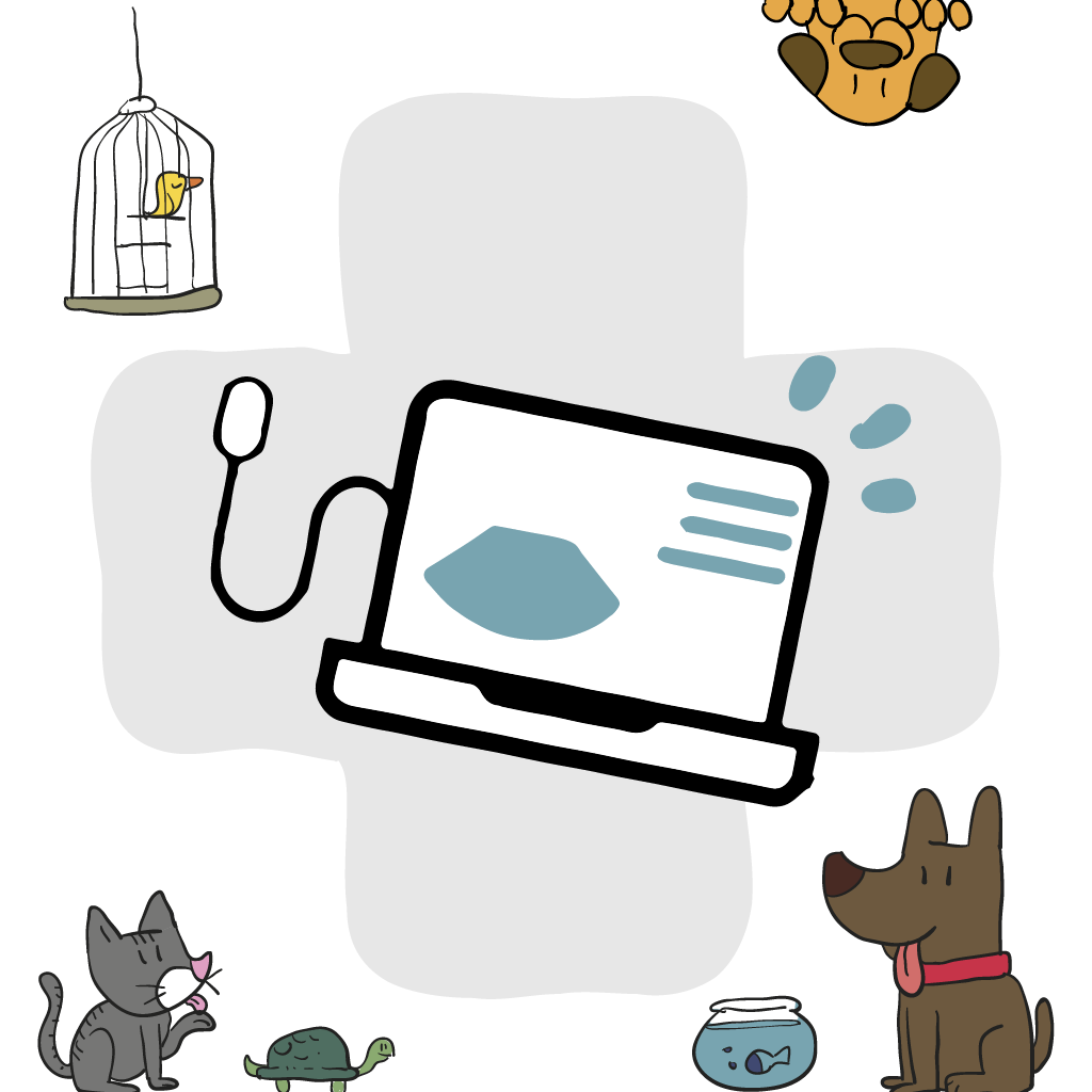ultrassom veterinário