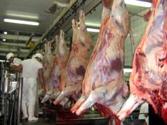 contaminantes da carne bovina e seus efeitos
