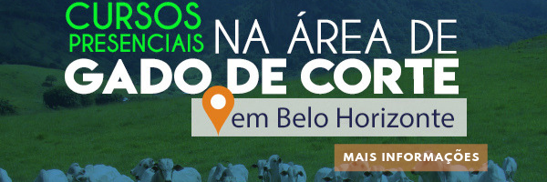 Cursos presenciais na área de gado de corte