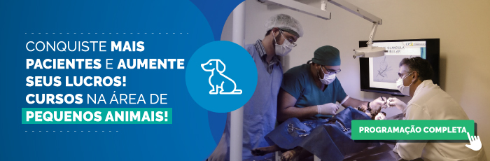 Cursos na área de pequenos animais