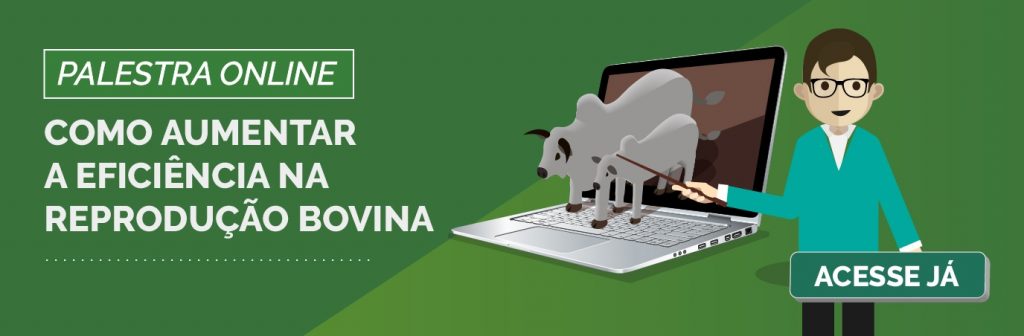 Palestra Como aumentar a eficiência na reprodução bovina