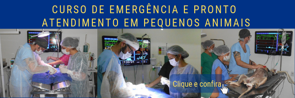 Curso de Emergência e Pronto atendimento em pequenos animais