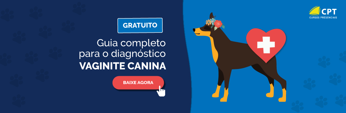 Vaginite Canina: Manual completo para o diagnóstico