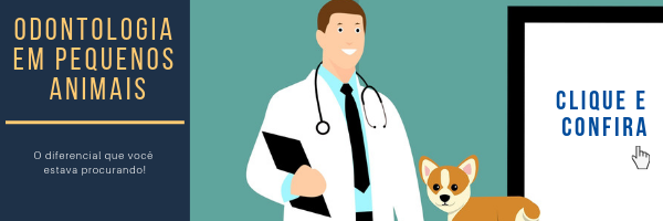 Curso de Odontologia em Pequenos Animais