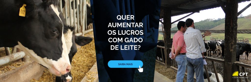 Cursos Gado de Leite