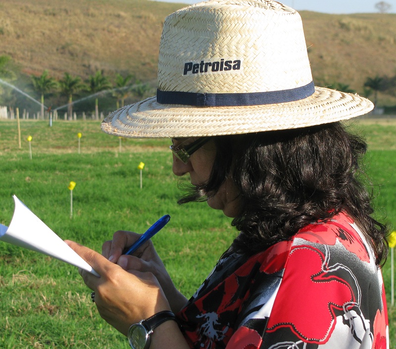 Técnicas de irrigação