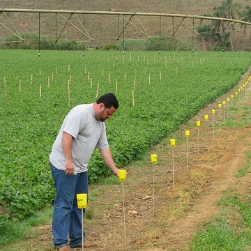 Sistema de irrigação