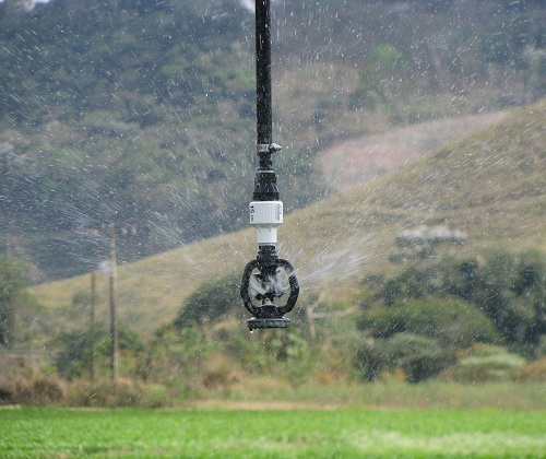 Manejo de irrigação