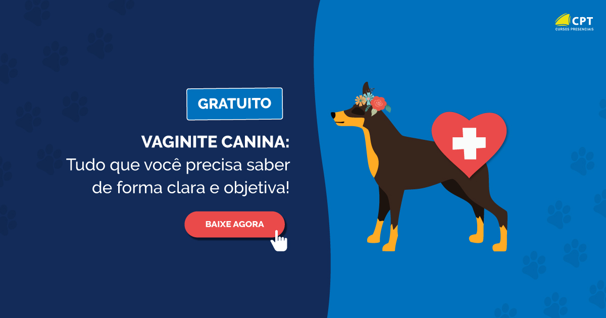 Vaginite Canina: Manual completo para o diagnóstico