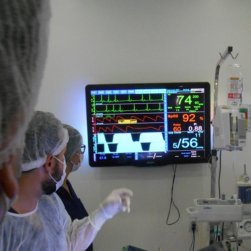 anestesiologia veterinária