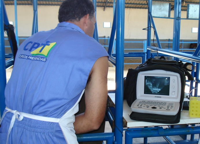 ultrassonografia na reprodução bovina