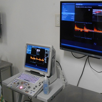 ecodopplercardiograma veterinário