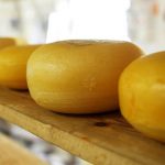 como produzir queijos