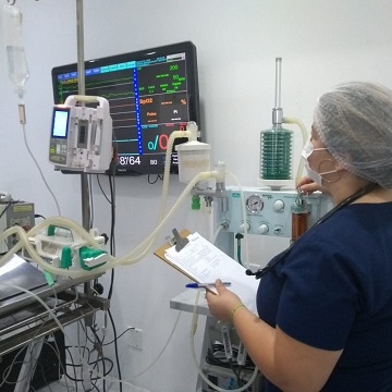 Anestesia inalatória veterinária