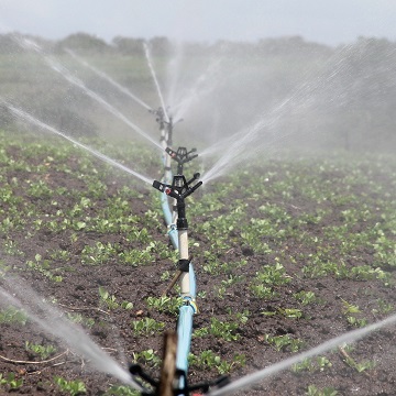 projeto de irrigação