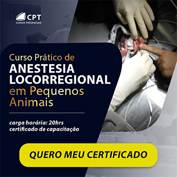 Anestesia Locorregional em Pequenos Animais