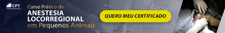 Anestesia Locorregional em Pequenos Animais