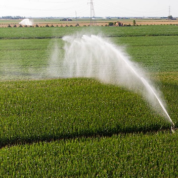 Agricultura irrigada