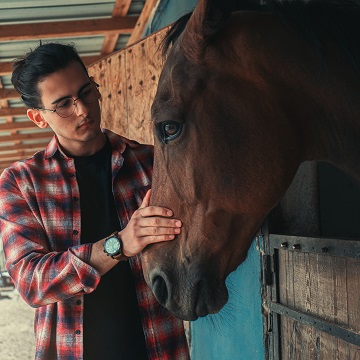 Saúde dos cavalos