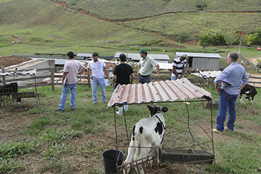 Imagem dos cursos de Gado de Leite