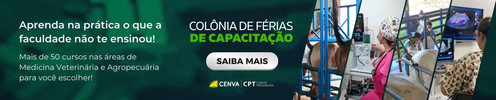 Colônia de férias