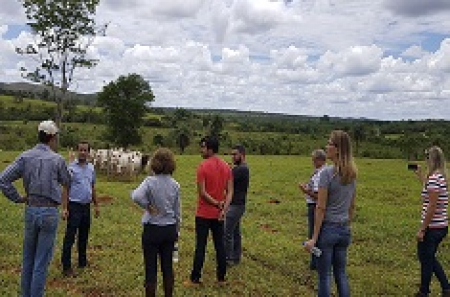 Curso de Administração Técnica e Econômica da Produção de Gado de Corte