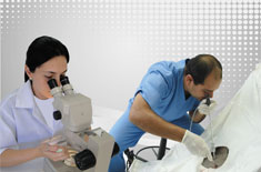 Curso de Aspiração Folicular por Laparoscopia (LOPU) para FIV em Ovinos