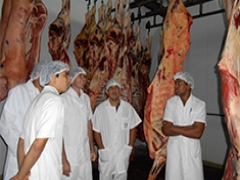 Curso de Avaliação e Tipificação de Carcaças de Bovinos