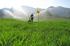 Curso de Irrigação e Manejo de Pastagens