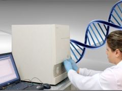 Curso de PCR Quantitativo em Tempo Real