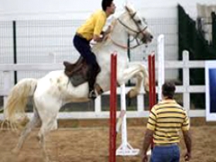 Curso de Preparação e Apresentação de Cavalos Marchadores para Pista