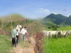 Curso de Recuperação de Áreas Degradadas - Manejo, Conservação e Fertilidade do Solo