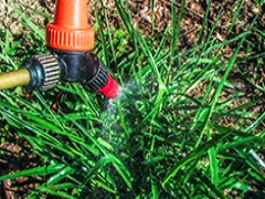 Curso de Tecnologia de Aplicação de Defensivos na Área Florestal