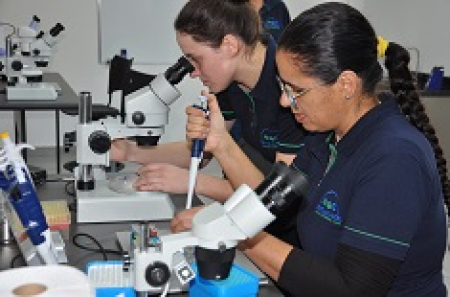 Curso de Transferência de Embriões em Bovinos - Unidade CENVA SUL