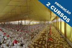 Cursos de Planejamento e Produção de Frango de Corte