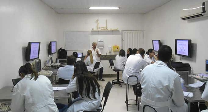 Curso de ultrassonografia em pequenos animais 969