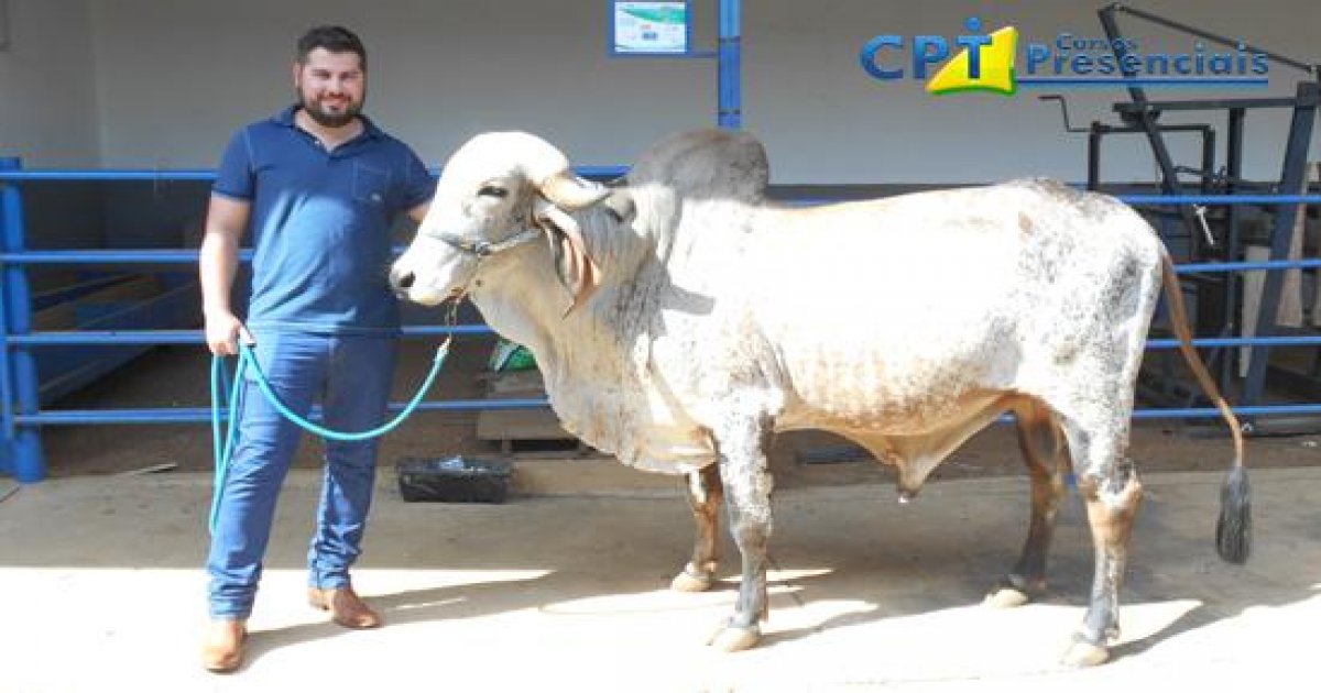 05º Curso de Morfologia e Avaliação de Bovinos de Corte (zebu) para compra e seleção 10-01-17