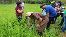 05º Curso de Projetos de Sistemas de Irrigação 19-10-2017