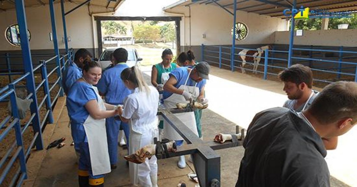 107º Curso de Cirurgias em Bovinos a Campo 20-10-17