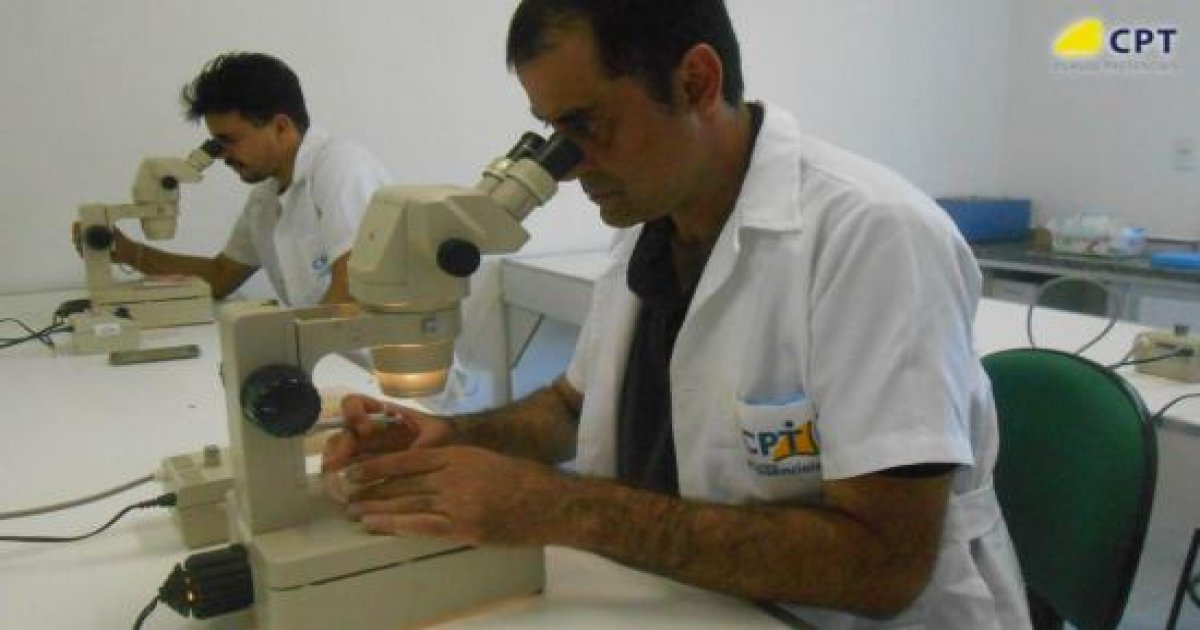 114º Curso de Aspiração Folicular (OPU) para FIV em Bovinos 22-02-19