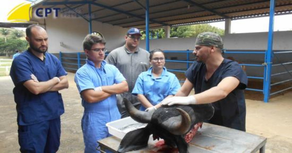 114º Curso de Cirurgias em Bovinos a Campo 25-05-18