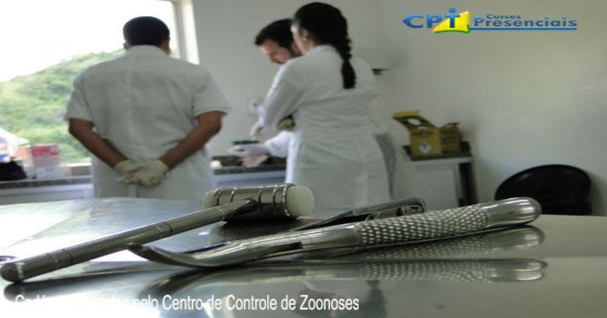 12º Curso de Odontologia em Pequenos Animais 05-02-2012